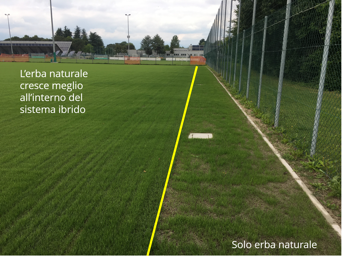 L'erba cresce meglio dentro il sistema