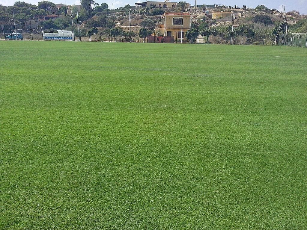 Il campo di Lampedusa seminato in Paspalum Vaginatum