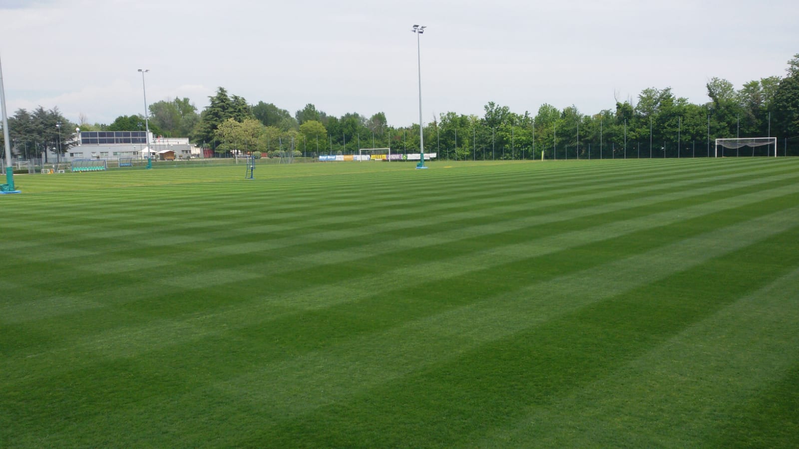 Campo POWERgrass di Pordenone - Estate 2020