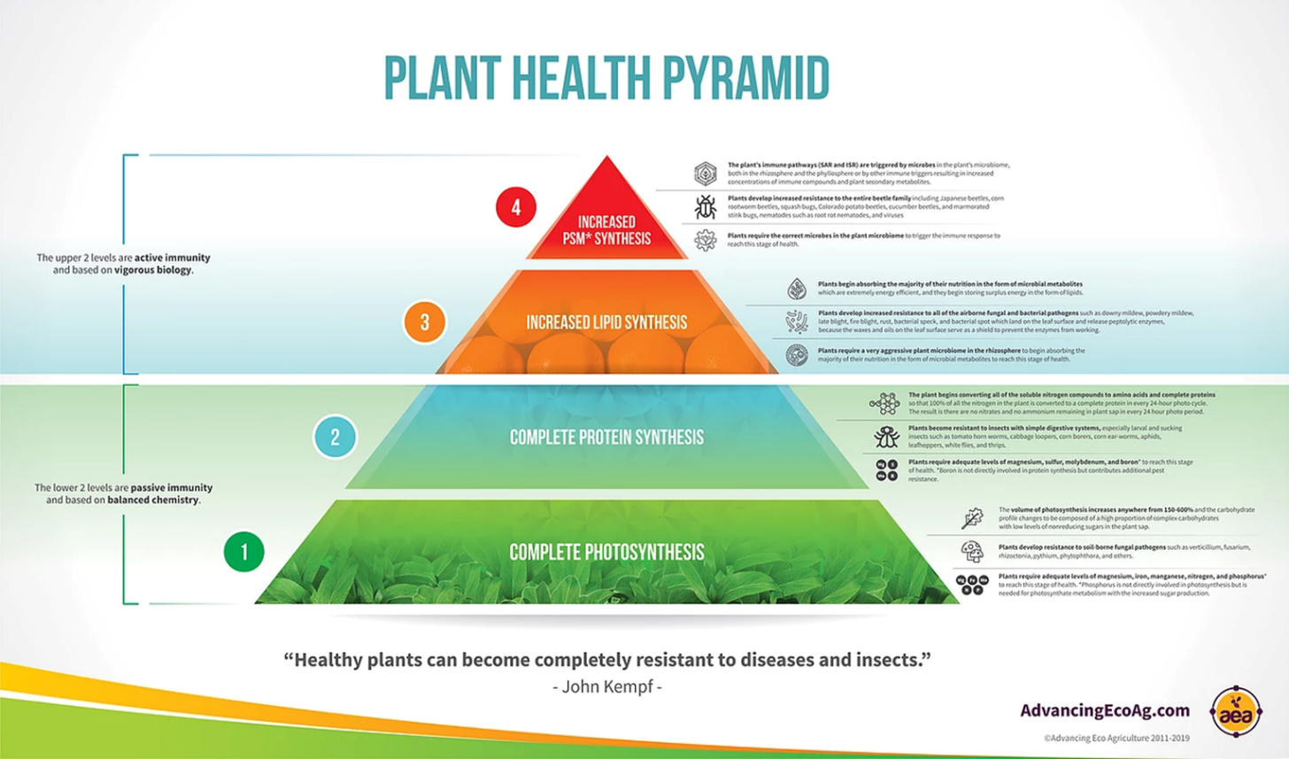 La pyramide pour la santé des plantes