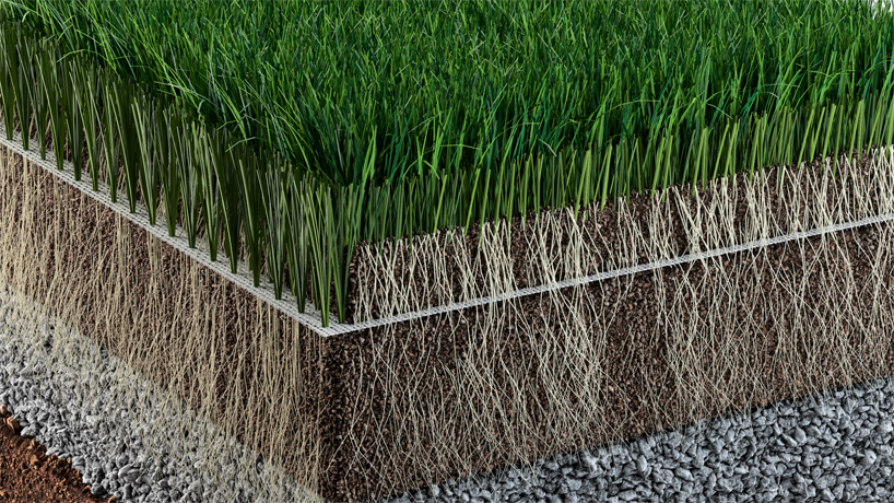Section POWERgrass